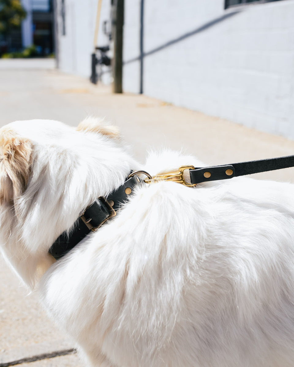 Boston Red Sox dog collar handmade adjustable buckle collar